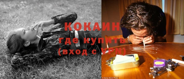 дживик Ладушкин