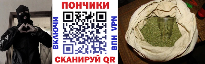 Купить где  Приозерск  Бошки марихуана гибрид 